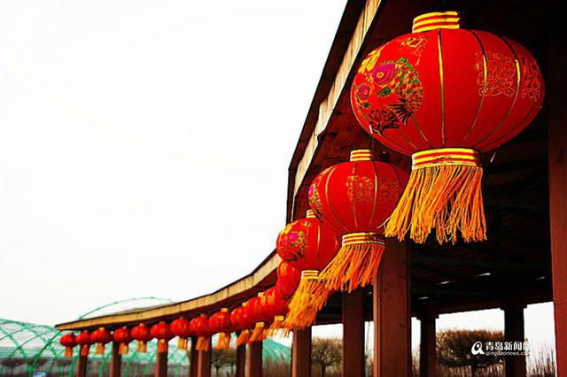 组图:羊毛沟花灯美食节抢先看 二龙戏珠长60米