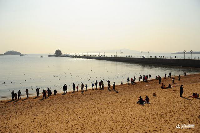 高清：最低温-7℃ 栈桥游人与海鸥亲密接触