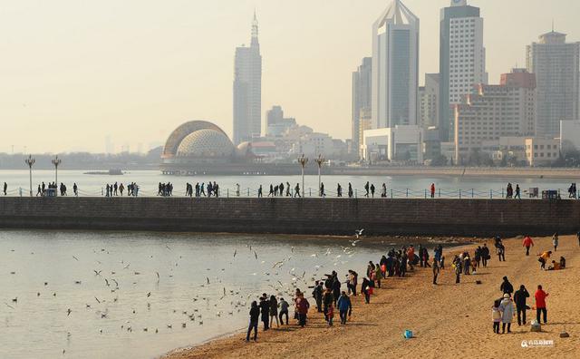 高清：最低温-7℃ 栈桥游人与海鸥亲密接触
