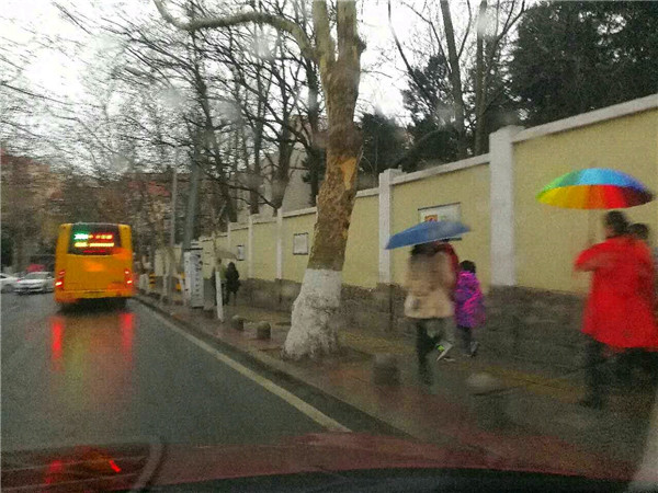 瑞雨迎丰年！青岛迎农历新年第一场雨(组图)