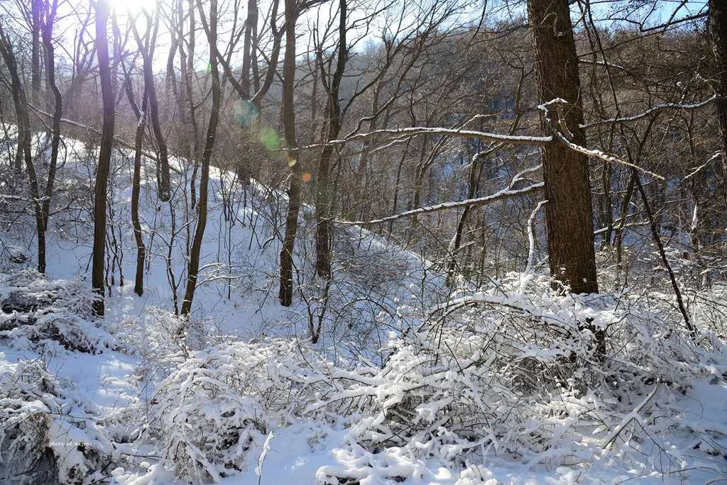 组图：鸡年第一场雪来啦！巨峰因雪太大关闭