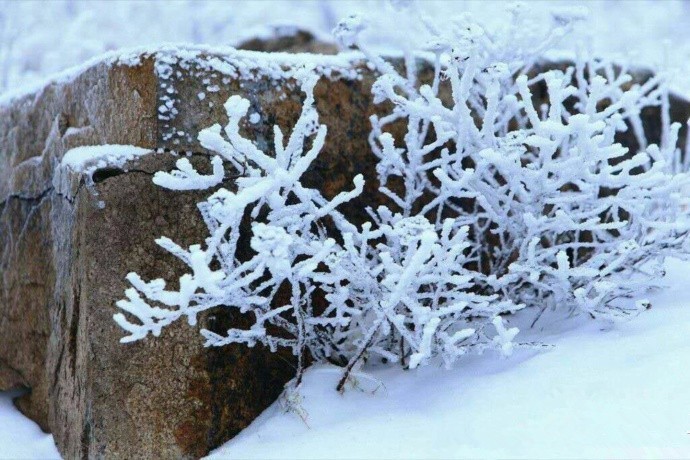 组图：鸡年第一场雪来啦！巨峰因雪太大关闭