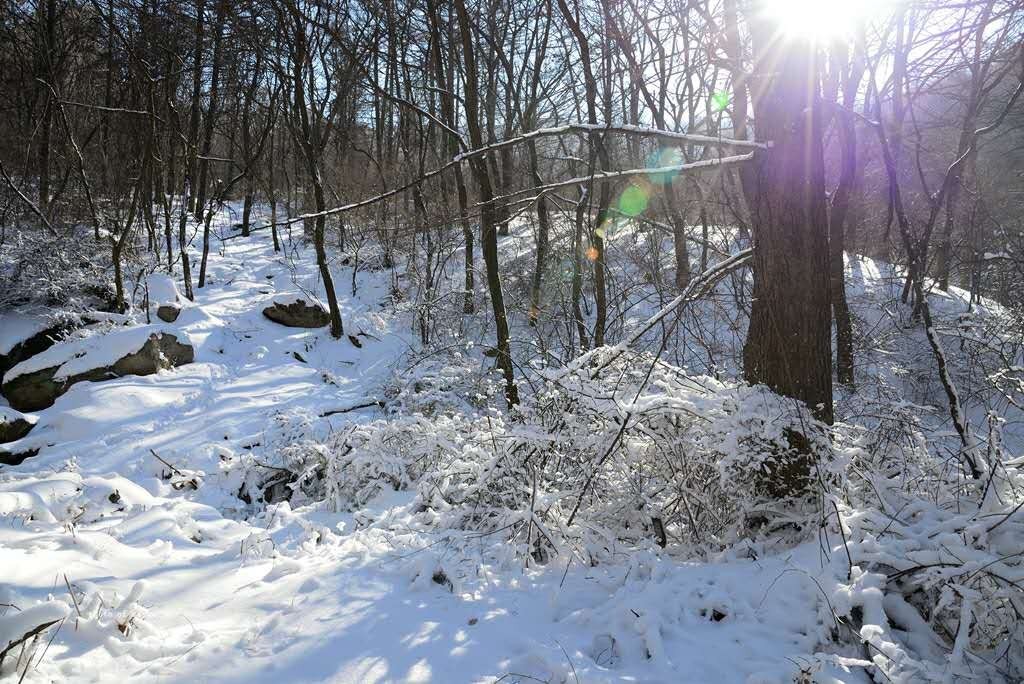 组图：鸡年第一场雪来啦！巨峰因雪太大关闭