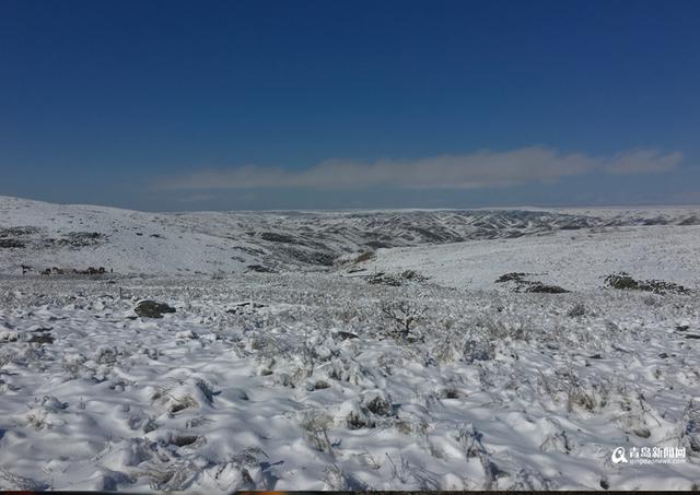 【丝路今日行】神秘中亚 乌兹别克兴起汉语热