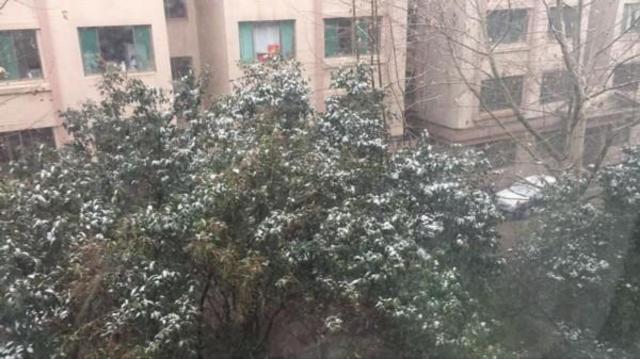 风来了雪来了降温了!山东部分高速收费站封闭 风来了雪来了降温了!山东部分高速收费站封闭