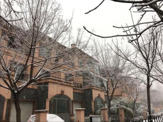 风来了雪来了降温了!山东部分高速收费站封闭 风来了雪来了降温了!山东部分高速收费站封闭