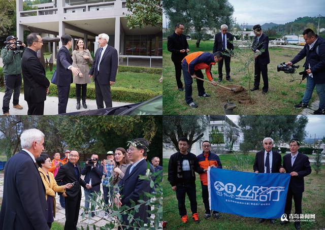 【丝路今日行】里海历险 奥林匹亚种下橄榄树