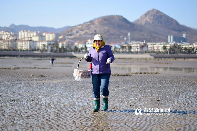 青岛市民春节赶海 竹蛏子白蛤喇啥都有