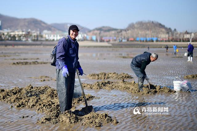 青岛市民春节赶海 竹蛏子白蛤喇啥都有
