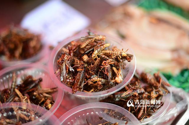 实拍糖球会“黑暗料理” 这款红烧肉糖球要火