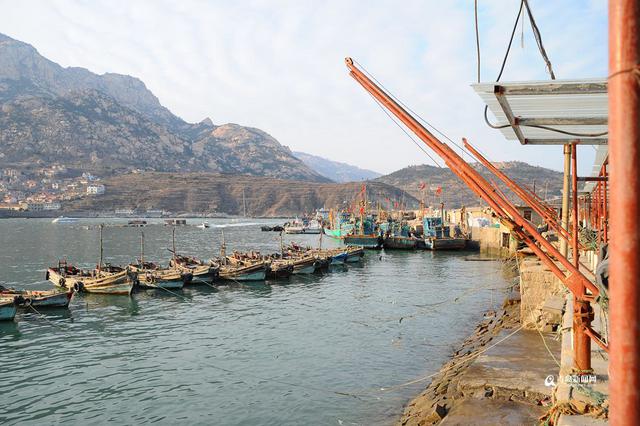 青岛有块神奇的扇贝海滩 就藏在渔村里