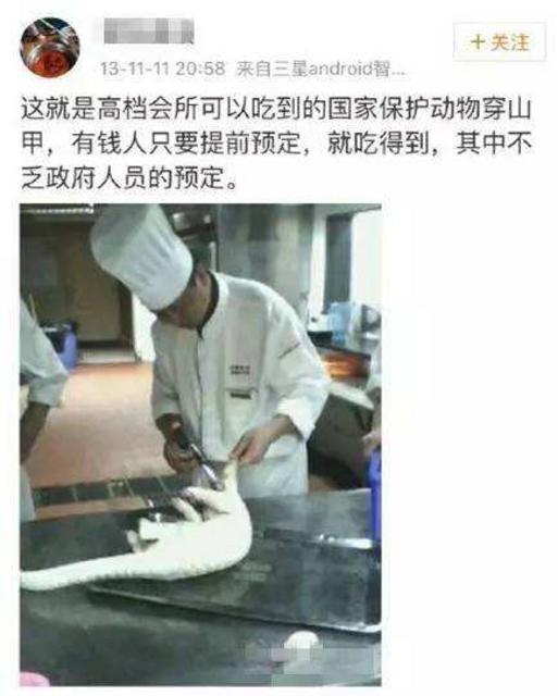 不只穿山甲 野生动物血色产业链触目惊心