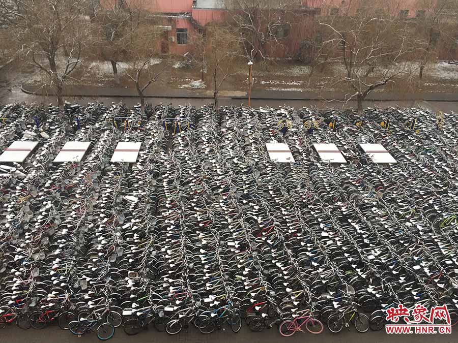 高校清理数千辆废旧自行车 似钢铁坟墓