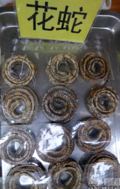 青岛现重口味昆虫宴 蜘蛛蜈蚣蝎子等被油炸