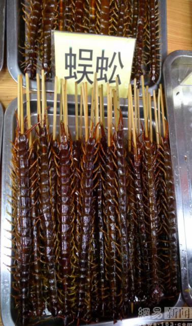青岛现重口味昆虫宴 蜘蛛蜈蚣蝎子等被油炸