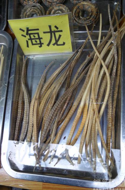 青岛现重口味昆虫宴 蜘蛛蜈蚣蝎子等被油炸