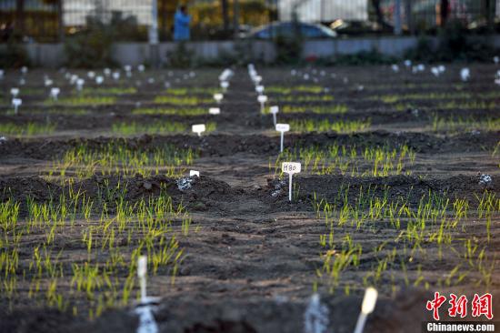 国土部部长：强化国土空间用途管制