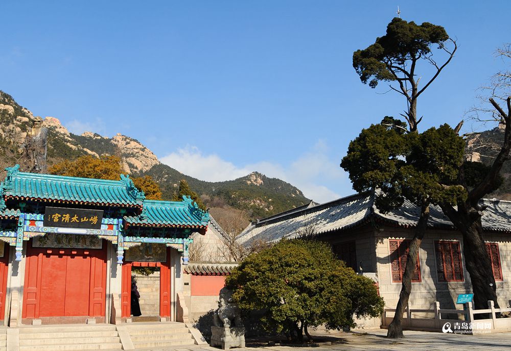 青岛有个神奇的地方 现在已经绿意盎然