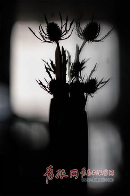 90后男花艺师和他的情人节