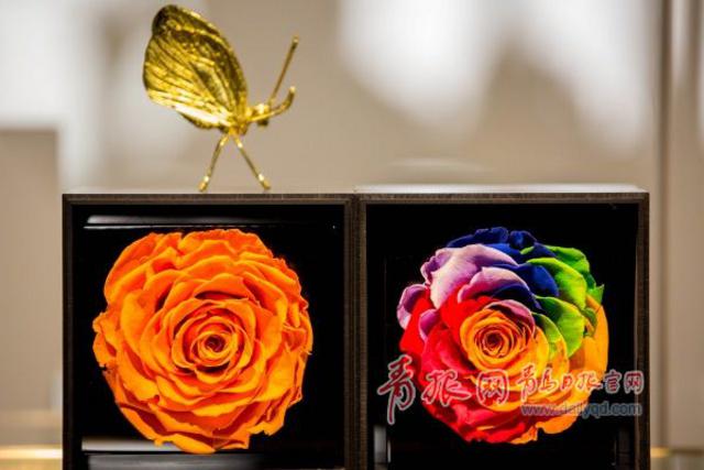 90后男花艺师和他的情人节