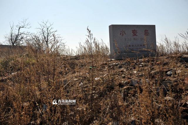 小麦岛生态最快明年动工修复 建设环岛木栈道