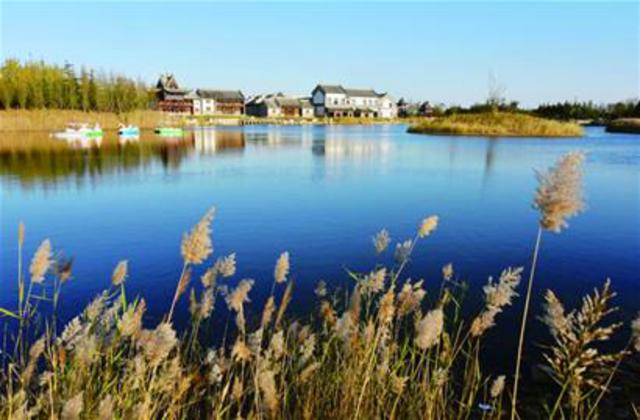 青岛两湿地入选山东最美 面积均超10万公顷 青岛两湿地入选山东最美 面积均超10万公顷