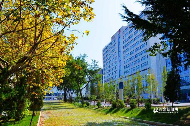 三医院长邢晓博:建李沧西部区域性医疗中心 三医院长邢晓博:建李沧西部区域性医疗中心