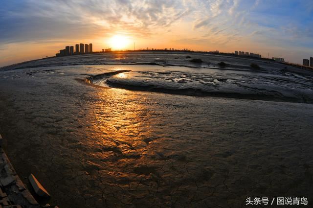 冷空气送来彩霞满天 胶州湾湿地再现生态美景 