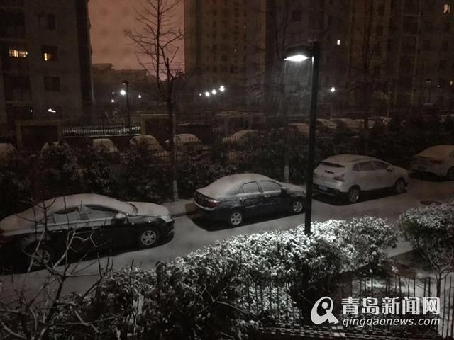 下雪啦!青岛迎风花雪夜 今天路上开慢点