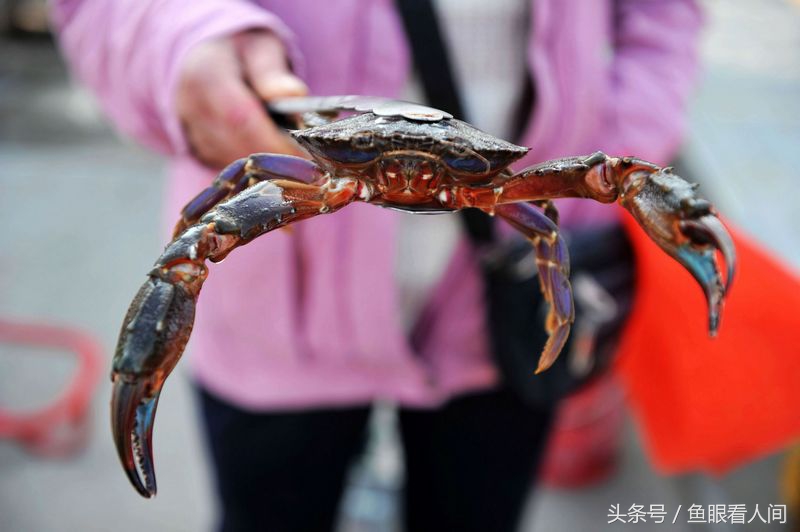 海水欲暖乍还寒 青岛海鲜美味正当时