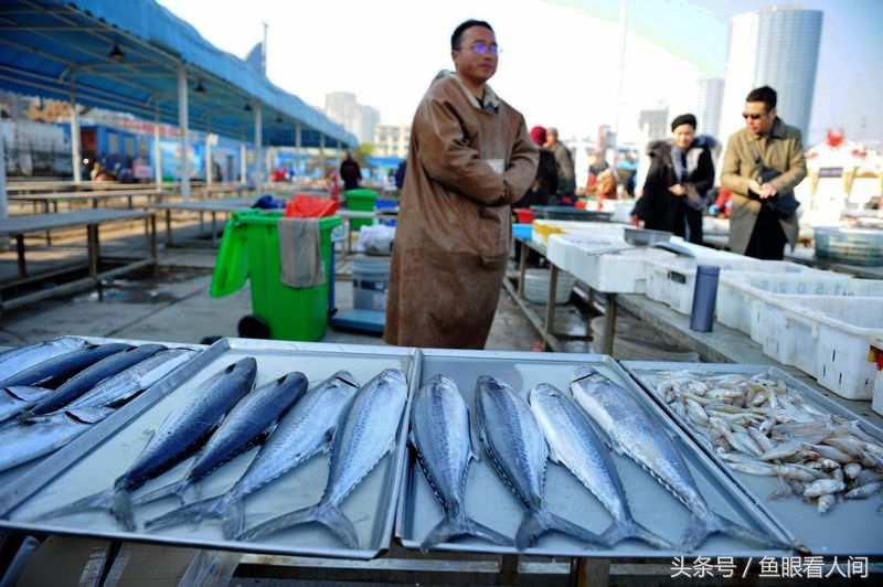 海水欲暖乍还寒 青岛海鲜美味正当时