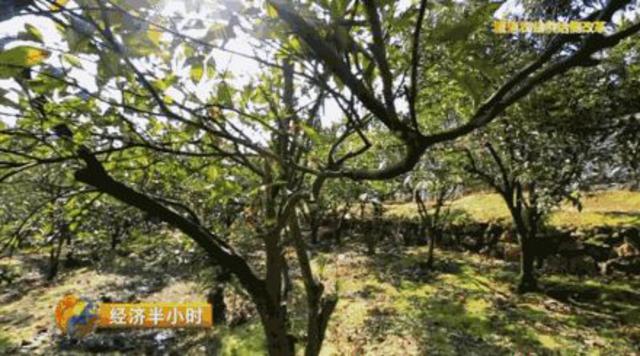湖南贫困县5年修不通63公里路 央视:简直打脸