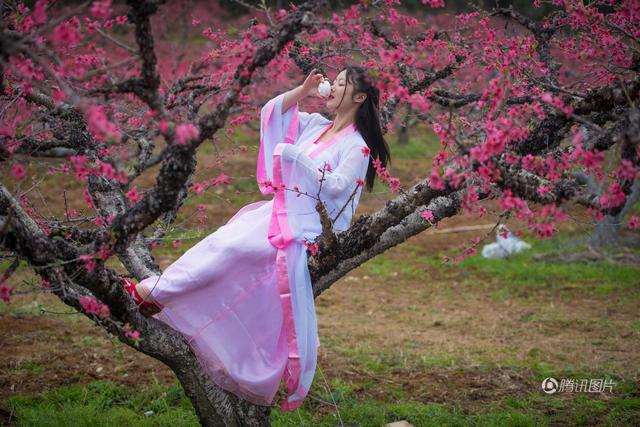广东连州桃花节 古装女大学生花间吟诗吃酒(图)