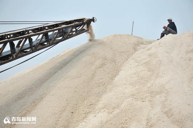 高清：探访青岛最后的盐场 盐垛堆得像银山
