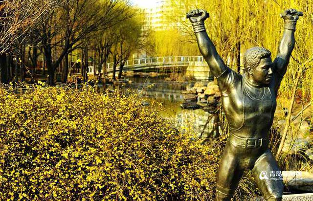 百花千卉共芬芳 青岛发布迎春花观赏攻略