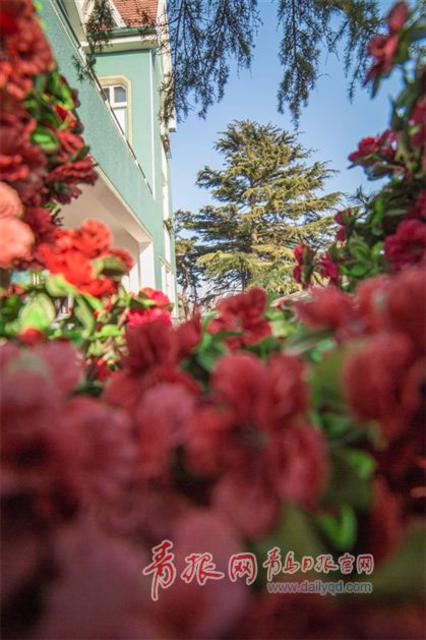 航拍青岛公主楼