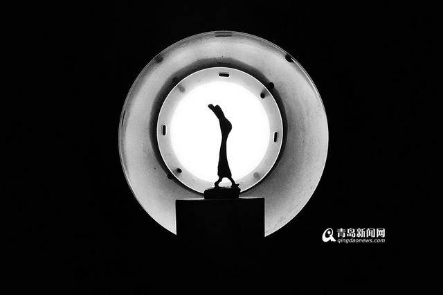 【新青年】90后兔子雕刻师 他雕的兔子没五官