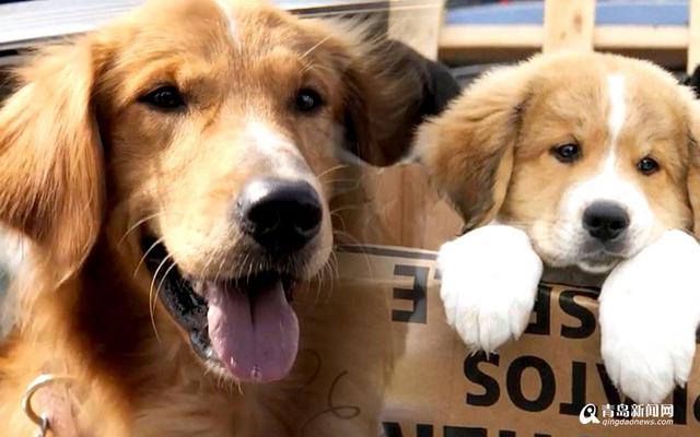 盘点:3月好莱坞大片凶猛来袭 感觉钱包要掏空