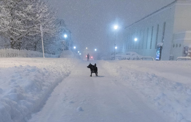 冰岛遇80年最大降雪 一天积雪51厘米银装素裹