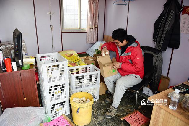 【新青年】80后海归 放弃高薪回即墨养鹅