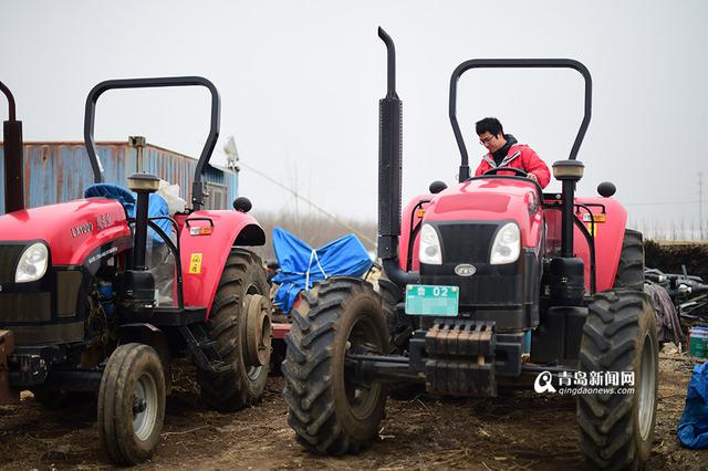 【新青年】80后海归 放弃高薪回即墨养鹅