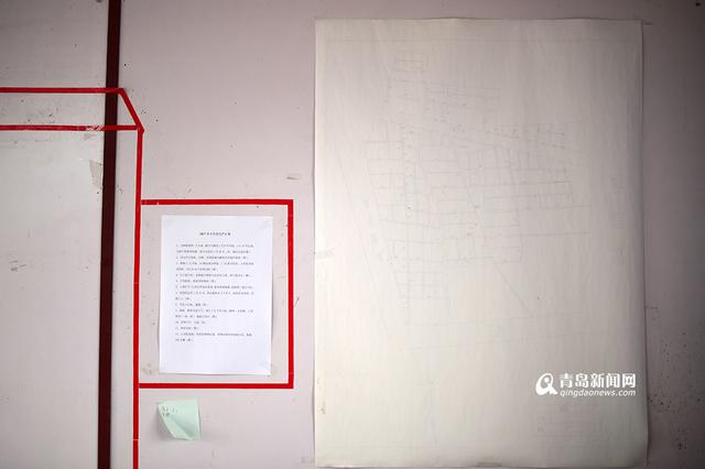 【新青年】80后海归 放弃高薪回即墨养鹅