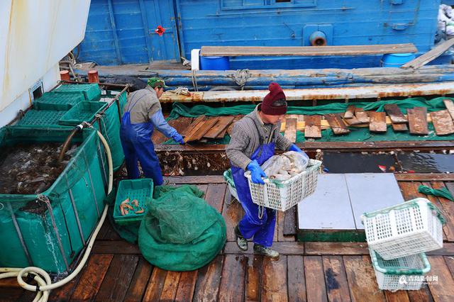 高清:大风天出海渔船锐减 野生海鲜量少受追捧