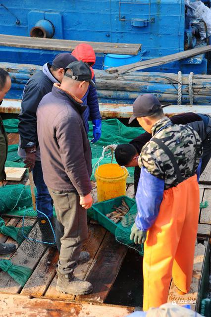 高清:大风天出海渔船锐减 野生海鲜量少受追捧