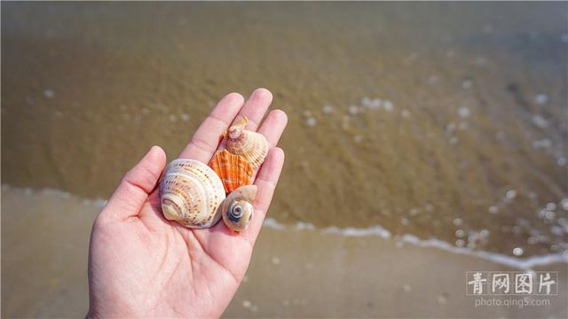 骑马看海把日子过成诗 崂山藏着一个希腊小城