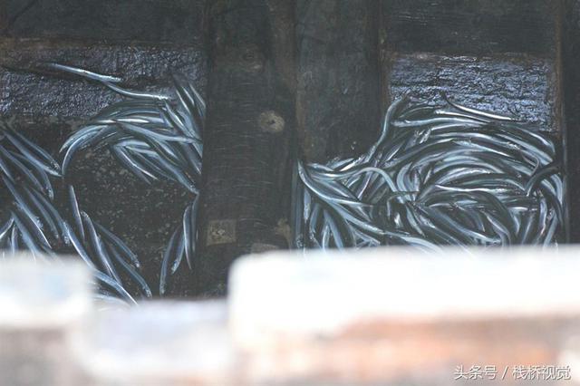 青岛迎来面条鱼鱼汛 产量减少身价倍增