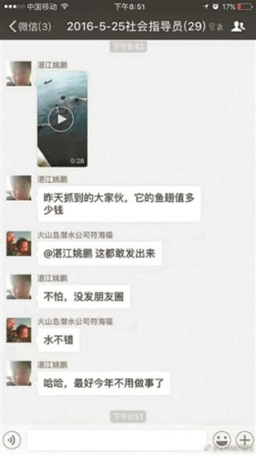 自曝捕鲸鲨问鱼翅价网友晒捕捉鲸鲨视频被调查