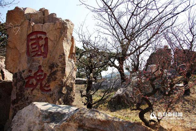 春日寻梅何处去 十梅庵梅花节3月16日开幕(图) 春日寻梅何处去 十梅庵梅花节3月16日开幕(图)