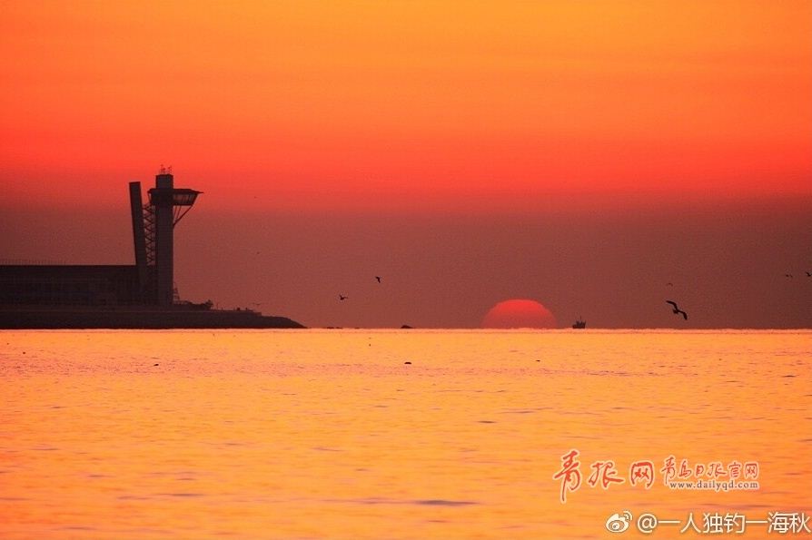 朝霞与海鸥齐飞 实拍浮山湾日出全过程