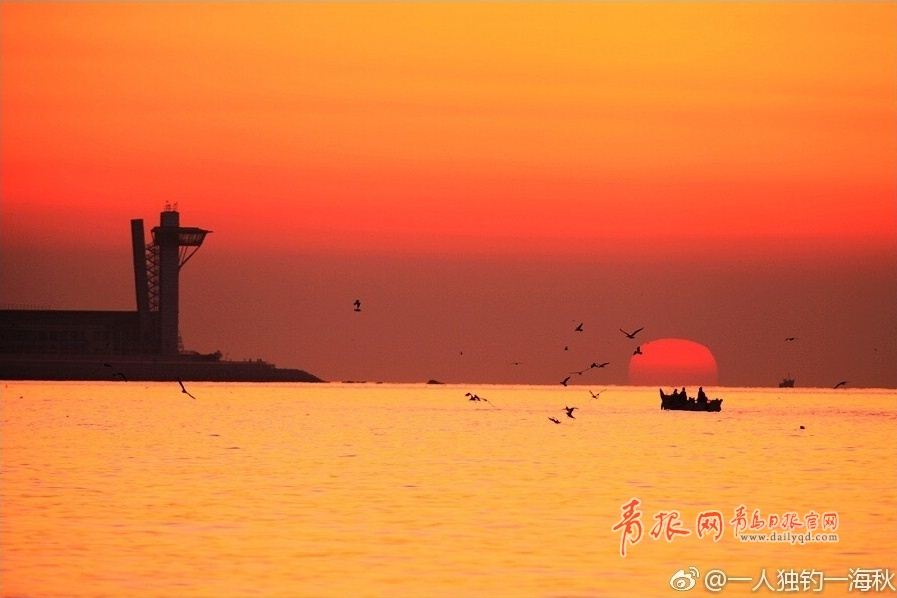 朝霞与海鸥齐飞 实拍浮山湾日出全过程